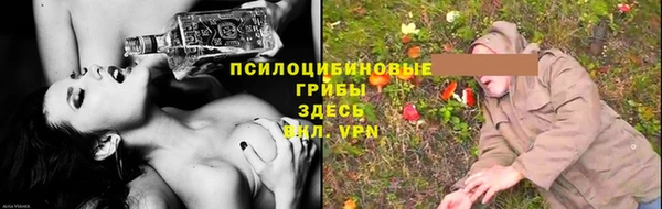 ПСИЛОЦИБИНОВЫЕ ГРИБЫ Богородицк