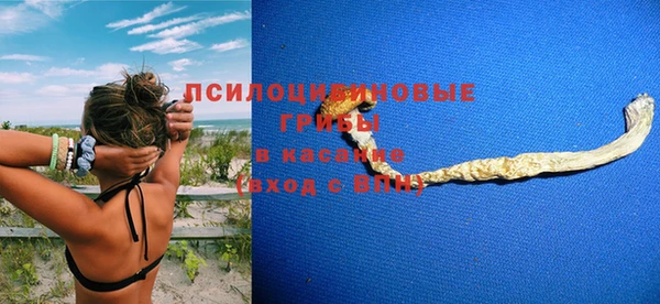 ПСИЛОЦИБИНОВЫЕ ГРИБЫ Богородицк