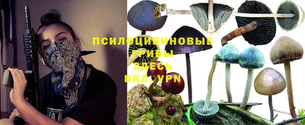 спайс Белокуриха